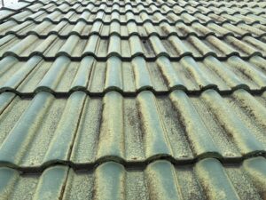 一宮市 屋根塗装 施工前 瓦屋根 苔の付着を拡大した状態